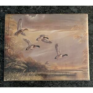 Ruane Manning Vtg Litho Mallard Ducks Waterfowl 8x10 Print Unframed 1999